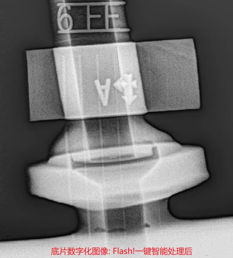 底片数字化图像经过Flash! 一键智能处理后的效果图,细节清晰,对比度增强。