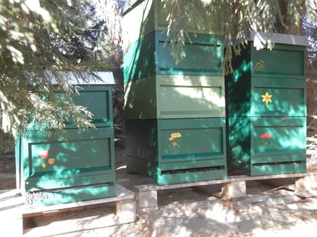 绿色蜂箱整齐排列于花园中,由贝克休斯员工家人手绘花朵图案,象征可持续发展与自然和谐。